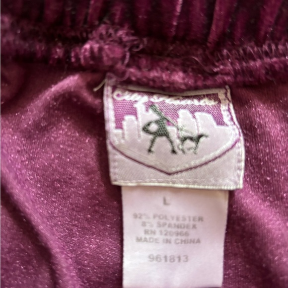 Vintage Purple Velvet Pants - Picture 2 of 7